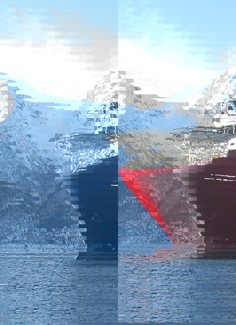 Fleet Banner
